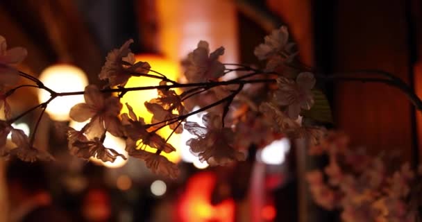Egy művirág cseresznyevirágzás Shinjukuban éjjel, kézben tartva. — Stock videók