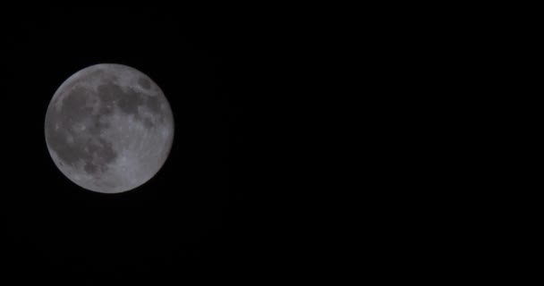 Luna piena nella notte buia — Video Stock