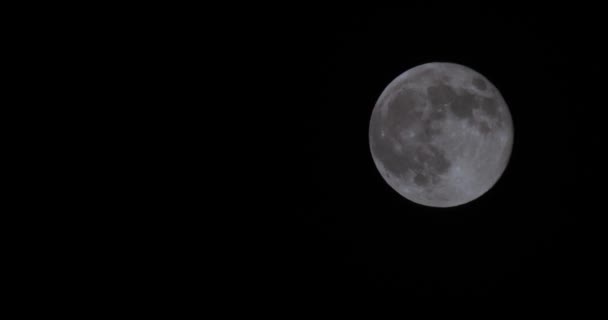 Full Moon at dark night — Vídeos de Stock