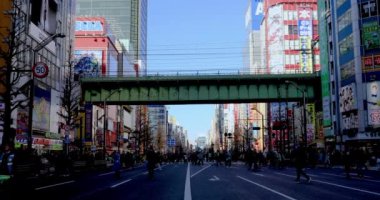 Akihabara Tokyo gündüz geniş çekim tatil sokakta yürüyüş insanlar
