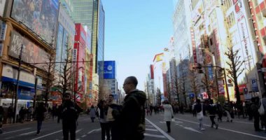 Akihabara Tokyo gündüz geniş çekim tatil sokakta yürüyüş insanlar