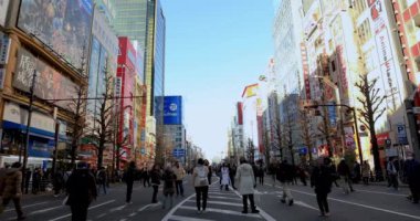 Akihabara Tokyo gündüz geniş çekim tatil sokakta yürüyüş insanlar