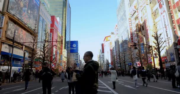 Wandelen mensen in de vakantie straat in Akihabara Tokyo overdag Wide shot — Stockvideo