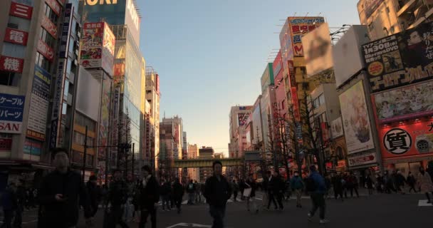 Ходьба людей на святі вулиці в Акіхабара Токіо денний широкий постріл — стокове відео