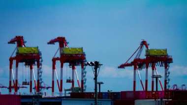 Tokyo 'daki deponun yakınındaki vinçlerde zaman aşımı.