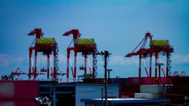 Tokyo 'daki deponun yakınındaki vinçlerde zaman aşımı.