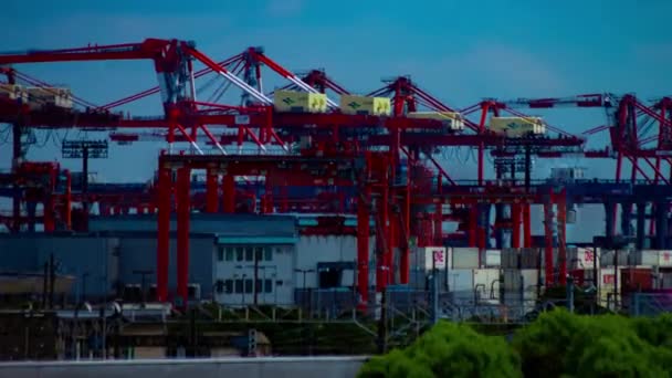 Un laps de temps de déplacer des grues près de l'entrepôt à Tokyo longue vue panoramique — Video
