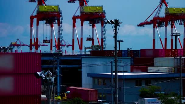 En tid förflutit av att flytta tranor nära lagret i Tokyo långskott panorering — Stockvideo