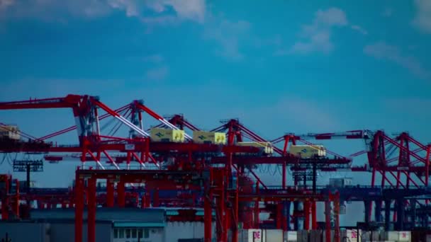 A time lapse of moving cranes near the warehouse in Tokyo long shot zoom — Stock Video