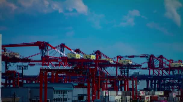 A time lapse of moving cranes near the warehouse in Tokyo long shot zoom — Stock Video