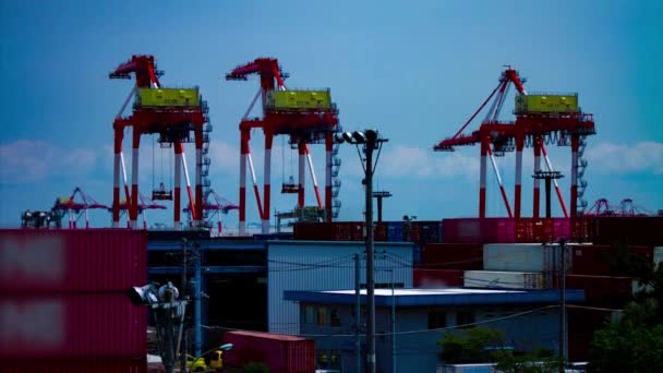 A time lapse of moving cranes near the warehouse in Tokyo long shot — Stock Video