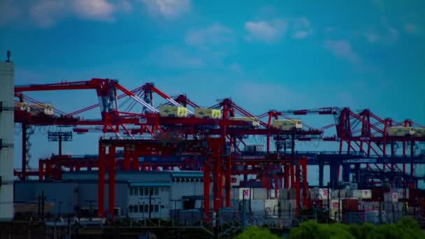 A time lapse of moving cranes near the warehouse in Tokyo long shot — Stock Video