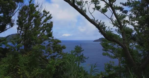 Manenzaki na mysu u modrého oceánu v Amami Ošima Kagošima — Stock video