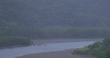 Amami oshima Kagoshima yağmurlu gün Mangrov orman