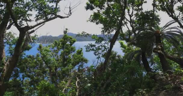 Promontório de Manenzaki perto do oceano azul em Amami oshima Kagoshima tiro largo — Vídeo de Stock