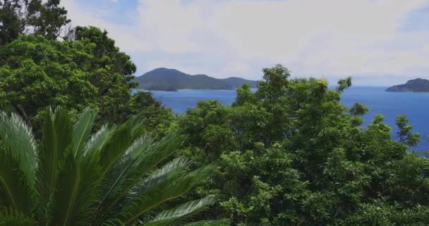 Manenzaki hegyfokot közelében a kék óceán Amami Oshima Kagoshima széles lövés — Stock videók