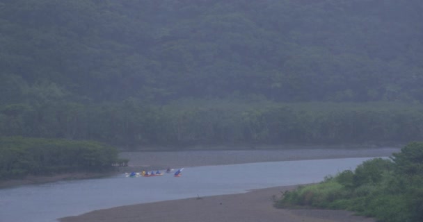 Mangrove erdő Amami Oshima Kagoshima esős napon — Stock videók