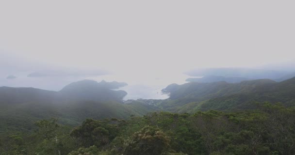 Τροπικό δάσος στην Τατσιγιάμα στο Αμάμι Οσίμα Καγκοσίμα υψηλή γωνία — Αρχείο Βίντεο