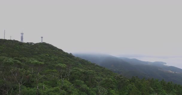 Tropický les na mysu Takachiyama v Amami v Kagošimě vysoký úhel — Stock video