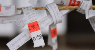 Tokyo'daki Oomiya hachiman tapınağında kahinler