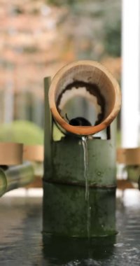 Tokyo'daki Oomiya hachiman tapınağında arınma yalak