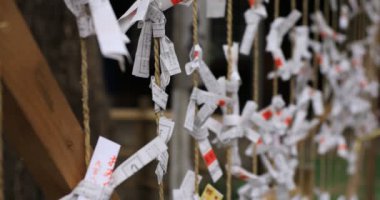 Tokyo'daki Oomiya hachiman tapınağında kahinler