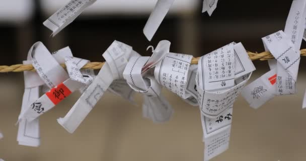 Oráculos en el santuario hachiman de Oomiya en Tokio — Vídeo de stock