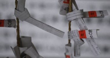 Tokyo'daki Oomiya hachiman tapınağında kahinler