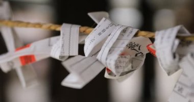 Tokyo'daki Oomiya hachiman tapınağında kahinler