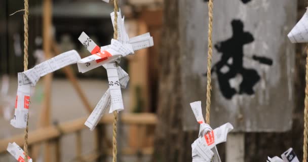 Oráculos en el santuario hachiman de Oomiya en Tokio — Vídeos de Stock