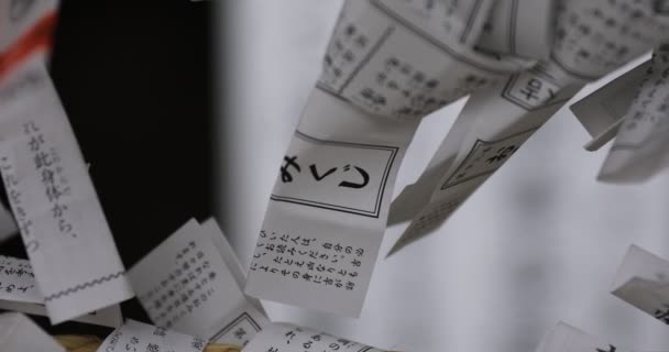 Proroctví na svatyni Oomija hačiman v Tokiu — Stock video