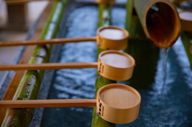 Tokyo'daki Oomiya hachiman tapınağında arınma yalak