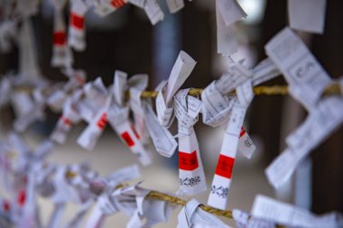 Tokyo'daki Oomiya hachiman tapınağında kahinler