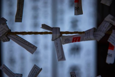 Tokyo'daki Oomiya hachiman tapınağında kahinler