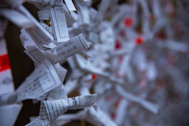 Tokyo'daki Oomiya hachiman tapınağında kahinler