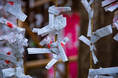 Tokyo'daki Oomiya hachiman tapınağında kahinler