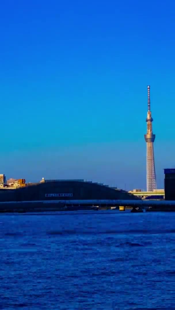 시내의 사격시에는 강에서 측정되었습니다 2019 도쿄의 강이다 카메라 Canon Eos — 비디오