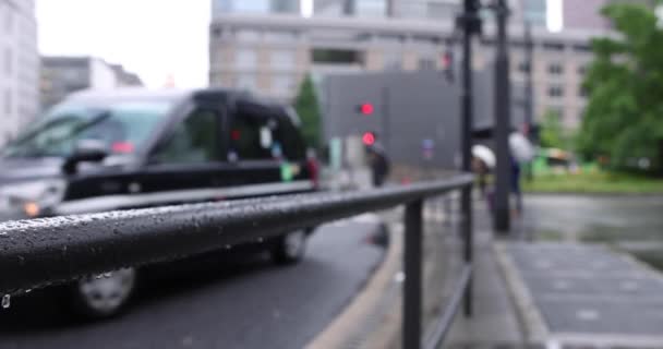 Ходячі Люди Вулиці Марунучі Токіо Йдуть Дощовий День Високоякісні Кадрів — стокове відео