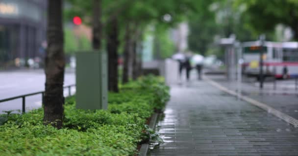 Marunouchi Tokyo Nun Yağmurlu Günlerinde Sokakta Yürüyen Insanlar Yüksek Kalite — Stok video