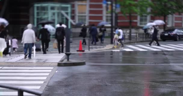 Caminhando Pessoas Rua Marunouchi Tóquio Dia Chuvoso Imagens Alta Qualidade — Vídeo de Stock