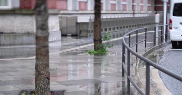 Passeggiando Persone Strada Marunouchi Tokyo Giorno Pioggia Filmati Alta Qualità — Video Stock