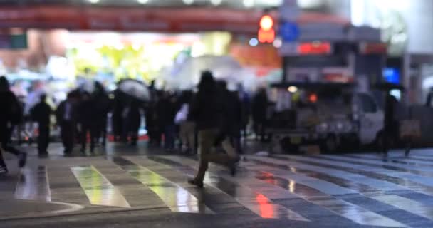 Walking People Crossing Rainy Day Night Handheld Shinjuku District Tokyo — Stock Video