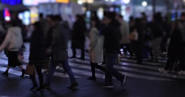 Camminare Persone All Incrocio Giorno Piovoso Notte Distretto Shinjuku Tokyo — Video Stock