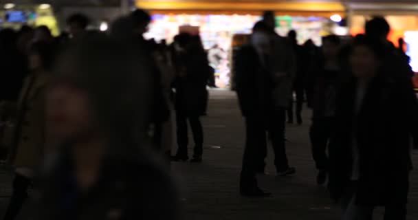 Accompagnare Gente Alla Citta Neon Notte Distretto Minato Shinbashi Tokyo — Video Stock