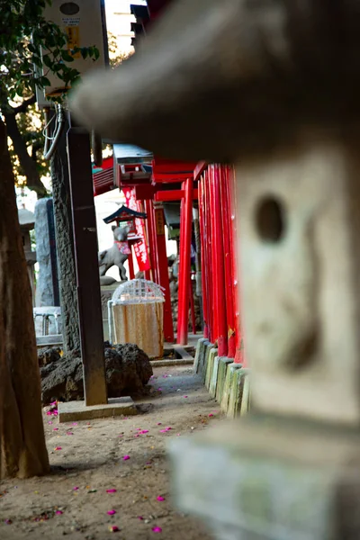 Japon geleneksel tapınağında fener. Shinjuku ilçesi Tokyo Japonya - 01.21.2019 : Geleneksel tapınakta Tourou adında bir Japon feneri. kamera : Canon Eos 5d mark4