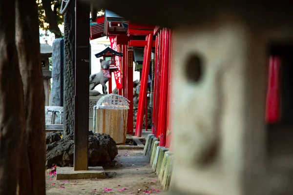 Japon geleneksel tapınağında fener. Shinjuku ilçesi Tokyo Japonya - 01.21.2019 : Geleneksel tapınakta Tourou adında bir Japon feneri. kamera : Canon Eos 5d mark4