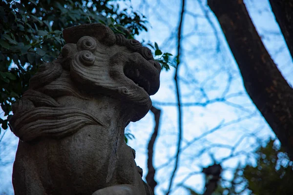 Statue Chien Gardien Sanctuaire Traditionnel Shinjuku District Tokyo Japon 2019 — Photo
