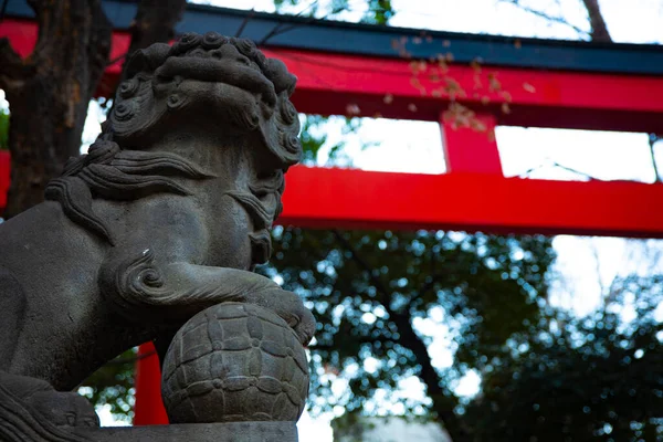 Статуя Охоронця Собаки Традиційній Святині Район Синдзюку Токіо Японія 2019 — стокове фото