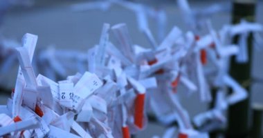Japon geleneksel tapınağında kahinler. Shinjuku ilçesi Tokyo Japonya - 01.21.2019 : Geleneksel tapınakta Omikuji adında bir Japon kahini. kamera : Canon Eos 5d mark4