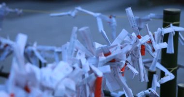 Japon geleneksel tapınağında kahinler. Shinjuku ilçesi Tokyo Japonya - 01.21.2019 : Geleneksel tapınakta Omikuji adında bir Japon kahini. kamera : Canon Eos 5d mark4